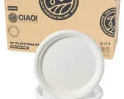 CIAO! 10" Heavy Duty Plate 100% Compostable PFAS Free Unbleached Bagasse Natural White (Pack of 500)