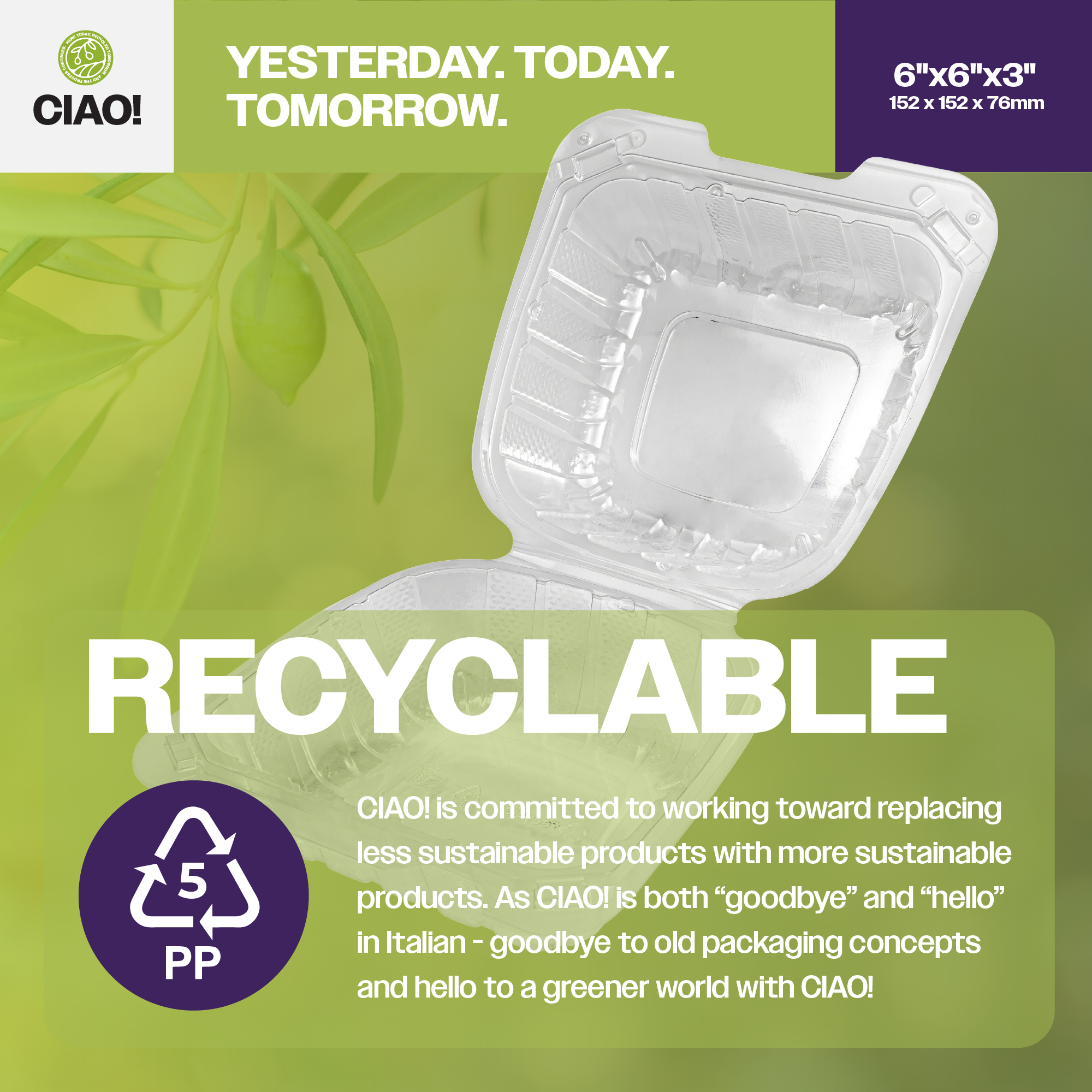 CIAO! 6"x6"x3" 1 Compartment PP Plastic Clear Hinged Container for Take Out (Case of 300) - Image 4