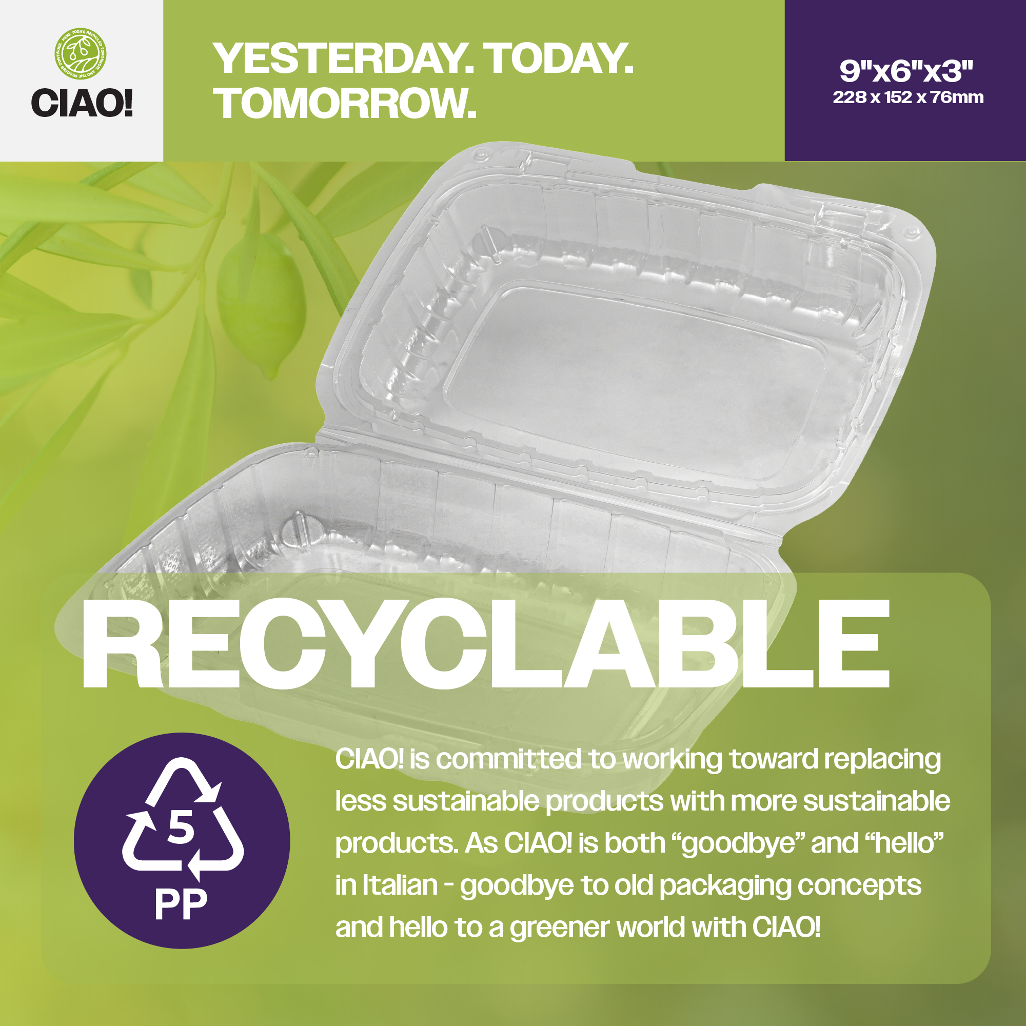 CIAO! 9"x6"x3" 1 Compartment PP Plastic Clear Hinged Container for Take Out (Case of 200) - Image 4