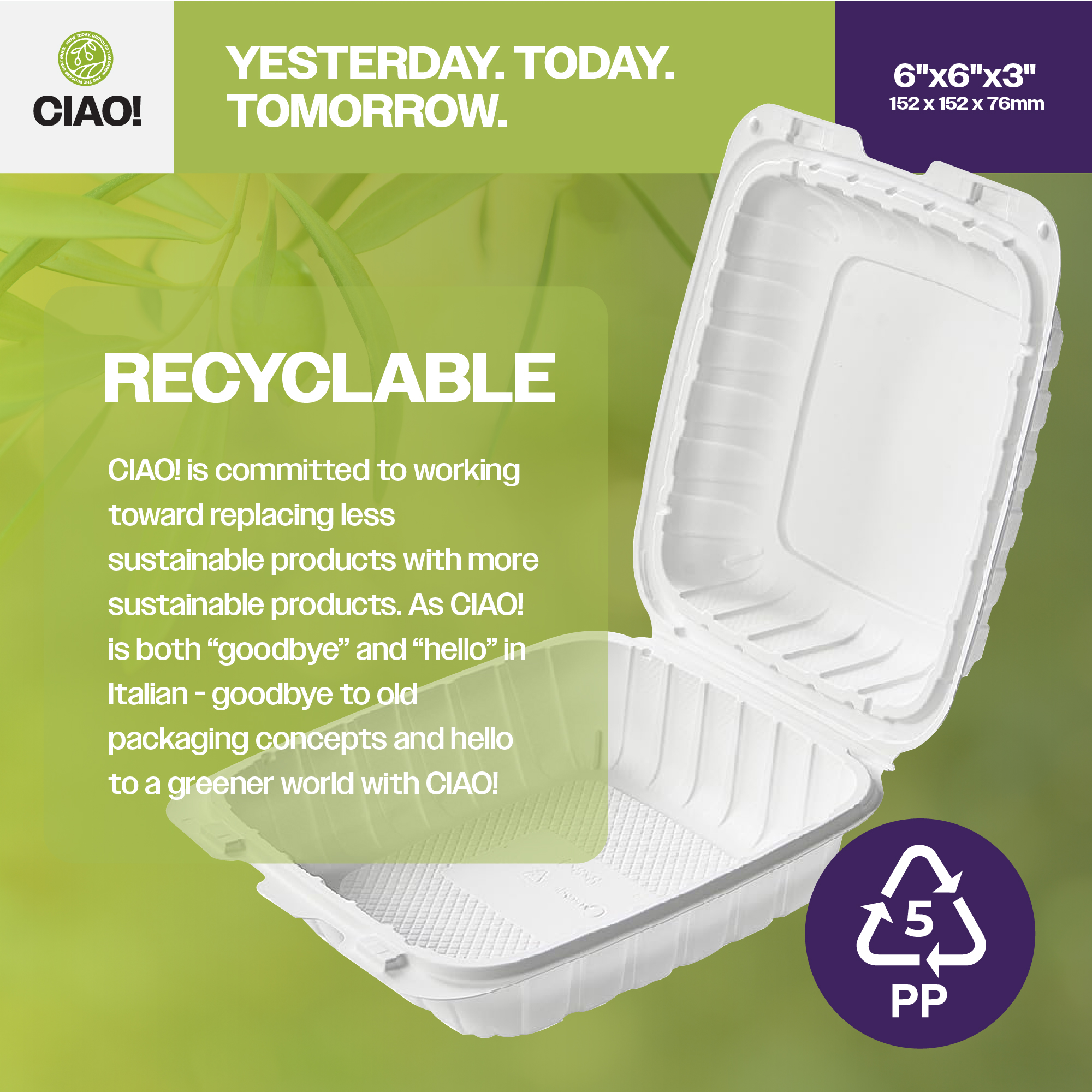 CIAO! 6"x6"x3" MFPP White Hinged Container With Lid 1 Compartment (Case of 300) - Image 4